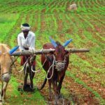 Agriculture,Parts of the Body