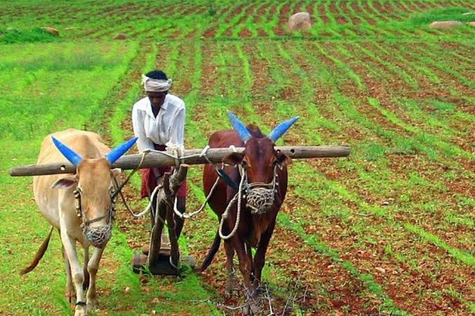 Agriculture,Parts of the Body