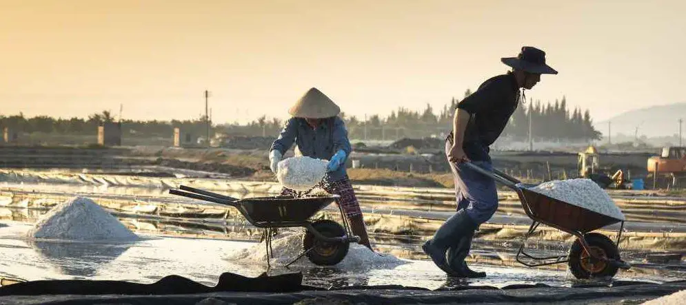 simple machines,wheelbarrow