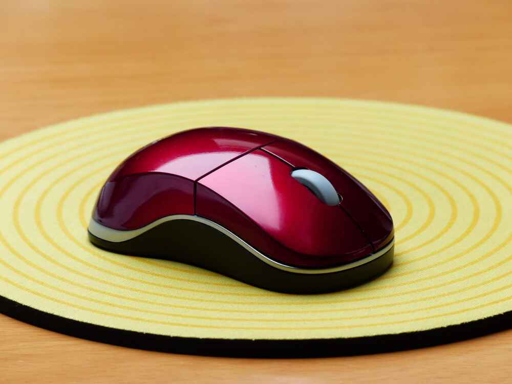 Mouse,Input Devices