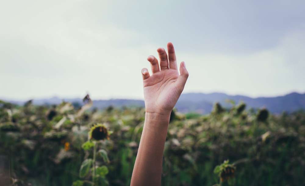 Selective Focus Photography of Right Human Hand