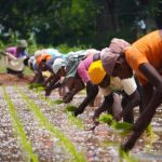 people running on dirt road during daytime