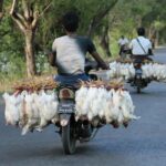 Bicycle And Motorcycle