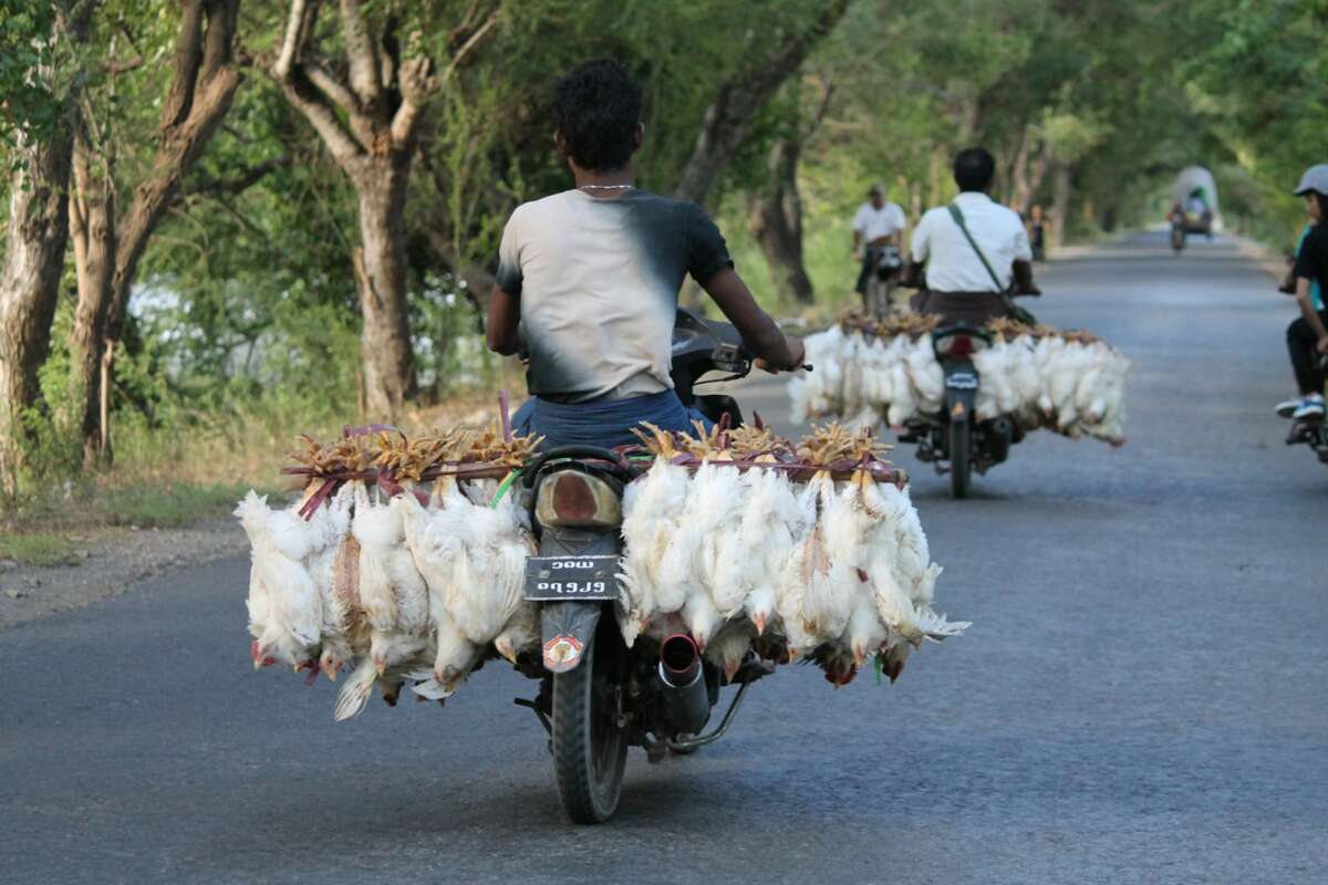 Bicycle And Motorcycle