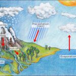 Water Cycle