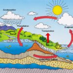 Formation of Rain,water cycle