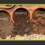 Soil,Loamy soil,Sandy soil