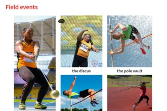 Field Events,High Jump And Long Jump