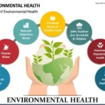 Image for Environmental Health (Primary 3)