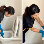 Cleaning The Toilet And The Bathroom