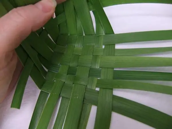 How to weave - Weaving with palm frond